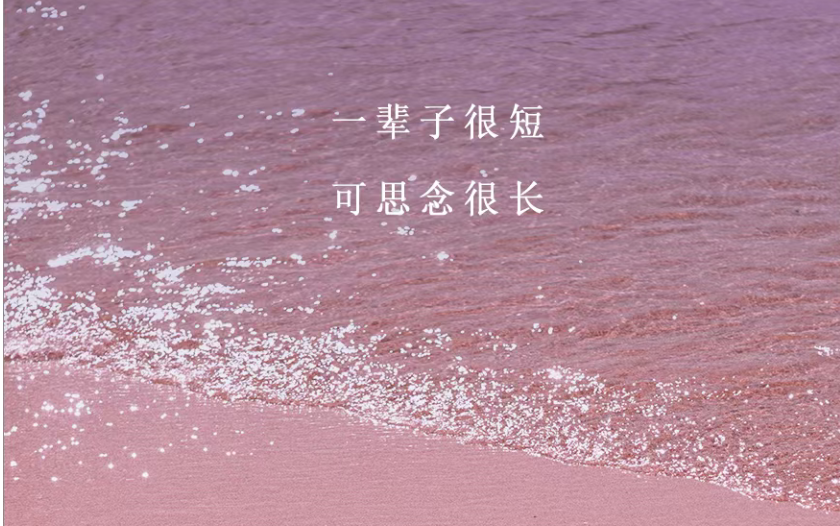 杭州市私人侦探：有些人，只适合怀念