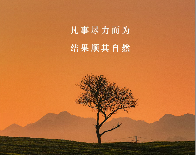 杭州市私家侦探：真是可怕的人心， 卑劣的道德！